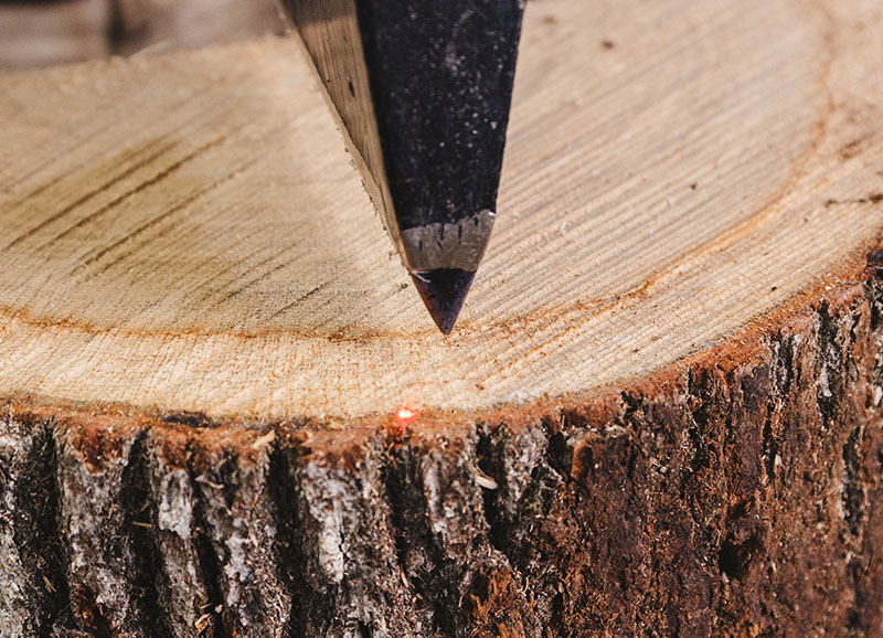 Photo de bois pour fabrication du fût de chêne